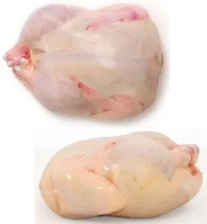 24 pack of 9"x16" Poultry Shrink Bags Chicken Freezer