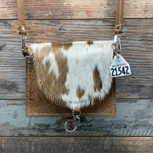 Pony Express - #21542