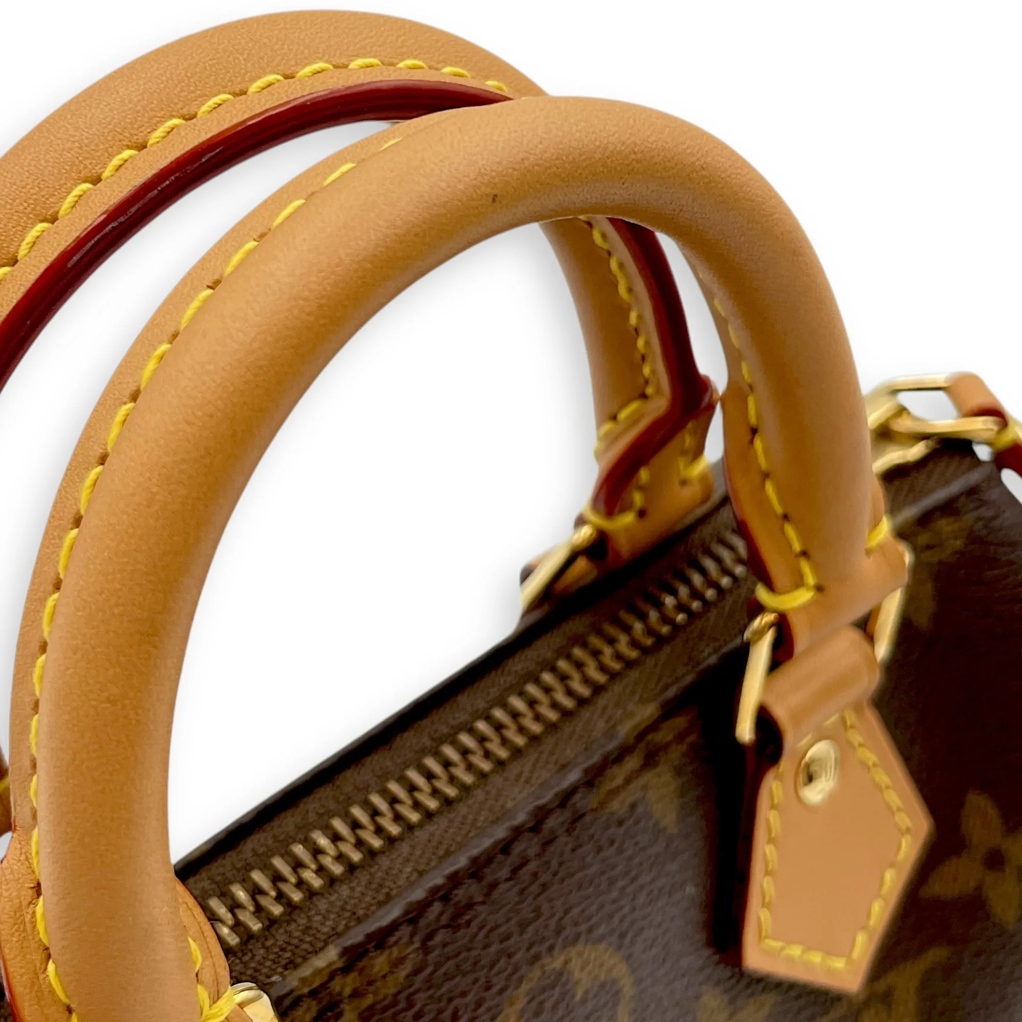 Speedy Nano Brown Crossbody Bag in Coated Canvas, Gold hardware