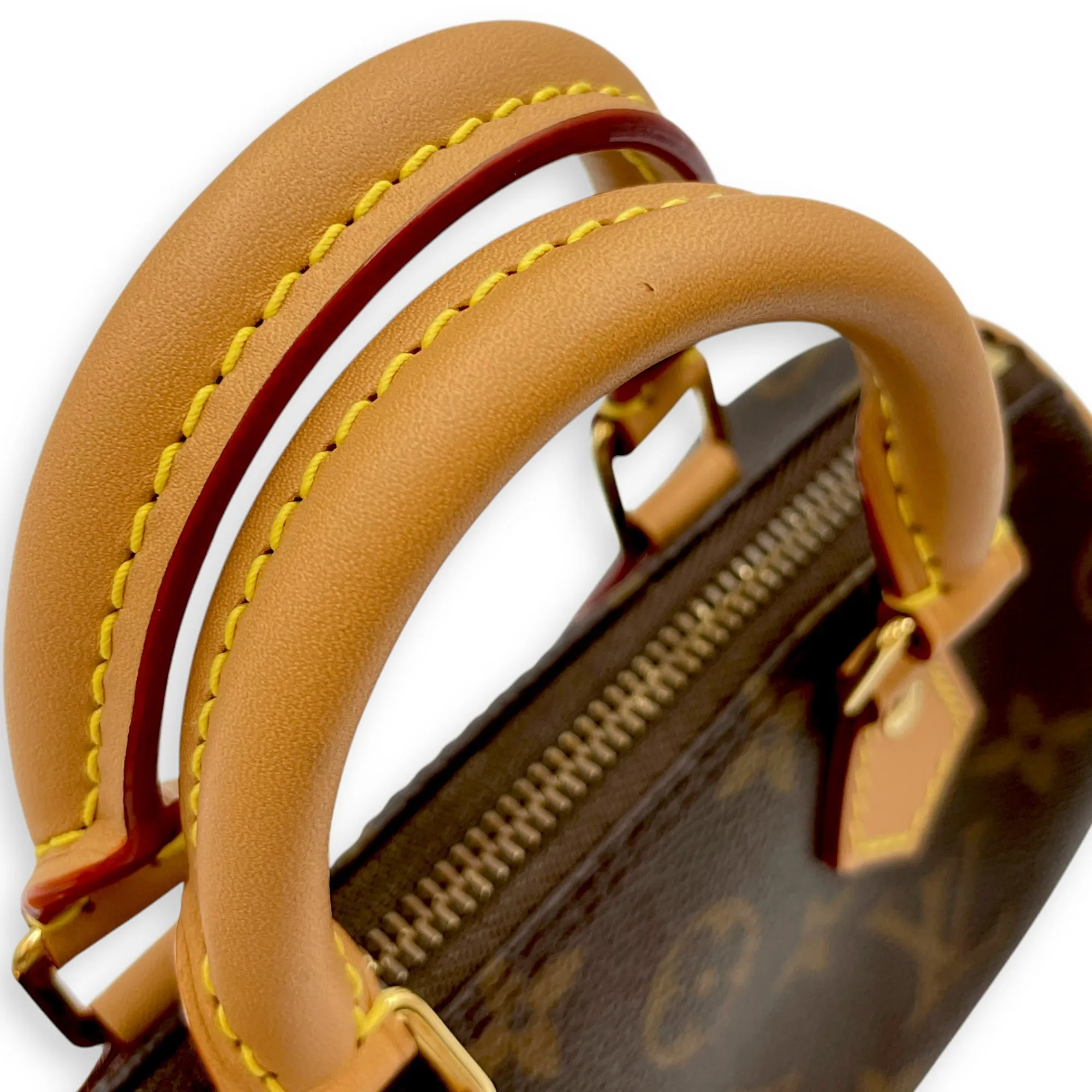 Speedy Nano Brown Crossbody Bag in Coated Canvas, Gold hardware