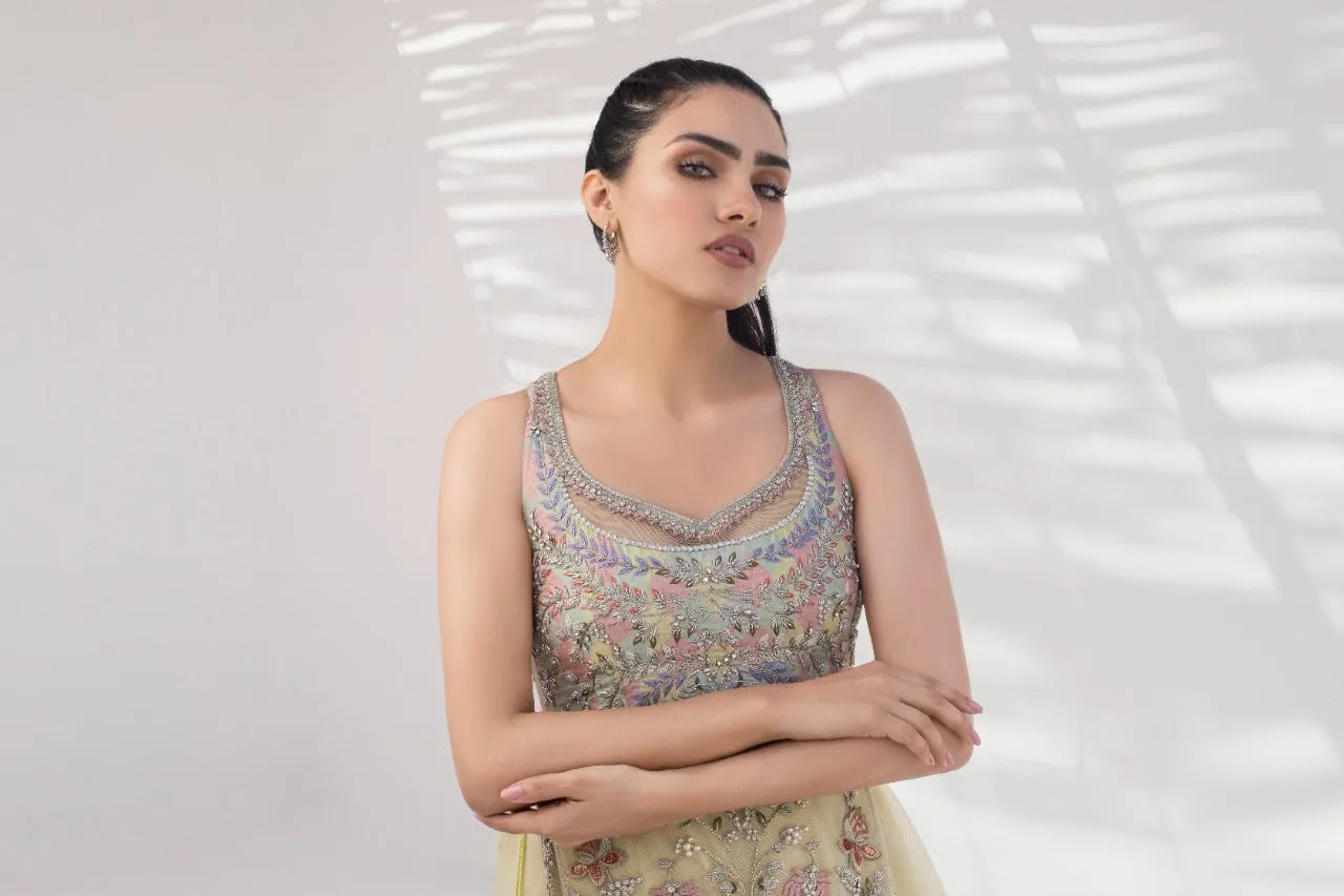 Zardoze Work Tulle Peshwas