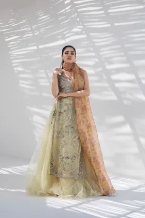 Zardoze Work Tulle Peshwas