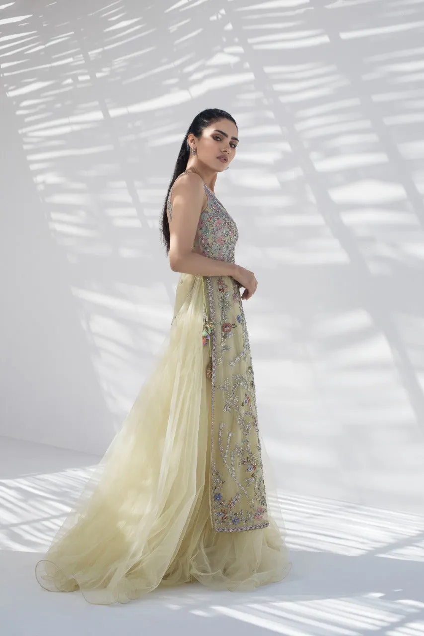 Zardoze Work Tulle Peshwas