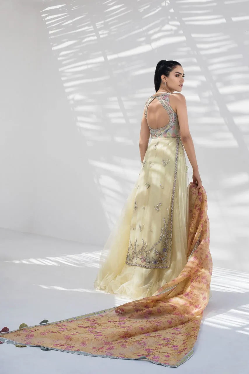 Zardoze Work Tulle Peshwas